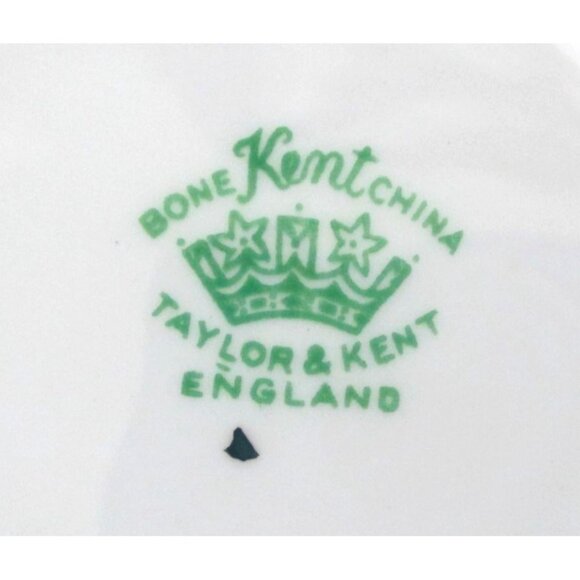 Wild Rose Bone China Tea Cup Teacup Saucer Taylor & Kent English Bone China - Picture 7 of 7